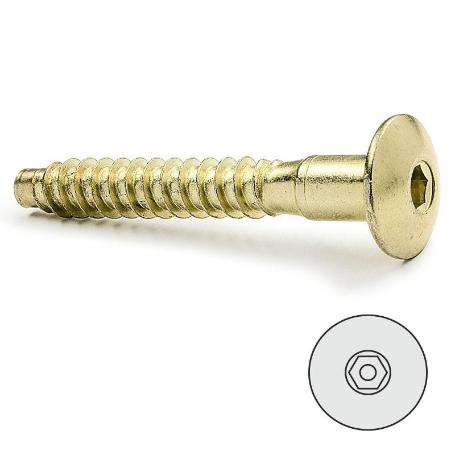 TORNILLO AUTORROSCANTE EMBELLECEDOR ALLEN LATONADO 7-40